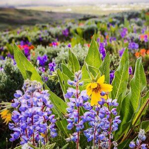 Meet your Posher, Macy